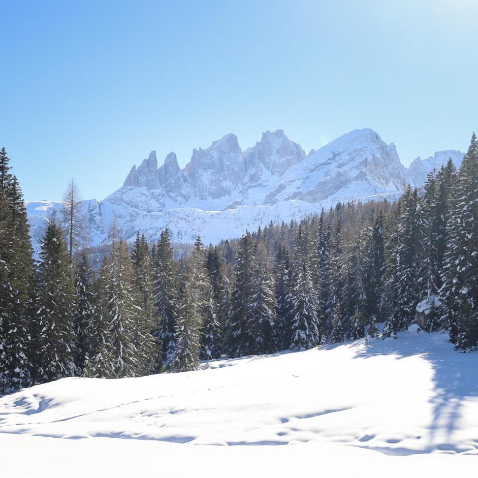 Rifugio Flora Alpina Otel Passo San Pellegrino Dış mekan fotoğraf